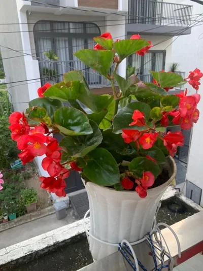 Thủ Đức Home - Nơi nghỉ ngơi như ở nhà, ấm áp tình thân – Fotos 15