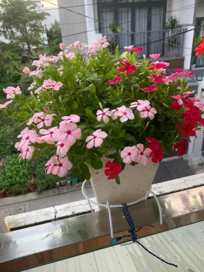 Thủ Đức Home - Nơi nghỉ ngơi như ở nhà, ấm áp tình thân – Fotos 16